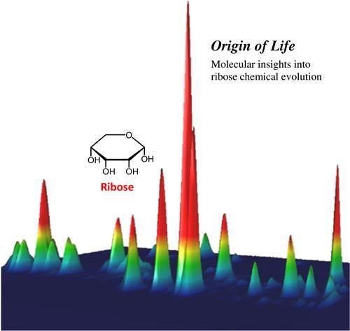 Ταυτοποίηση Ριβόζης μέσω Πολυδιάστατης αερίου χρωματογραφίας