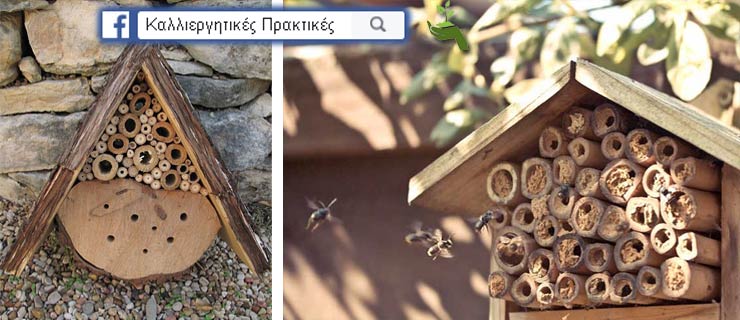Κάντε Μερικές Τρύπες σε ένα Κομμάτι Ξύλου & Κρεμάστε το στον Κήπο Σας για να Αυξήσετε την Παραγωγή των Καλλιεργειών Σας - Σπιτάκια για μέλισσεςτάκια