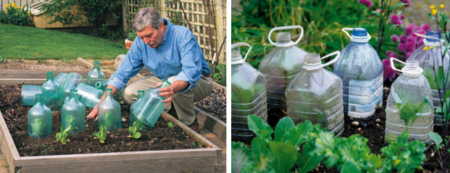 Χρησιμοποιείστε πλαστικά ή γυάλινα μπουκάλια για να προστατεύσετε τα φυτά σας από τον παγετό