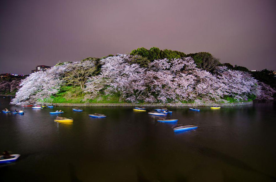 Η άνθηση της ιαπωνικής κερασιάς σε 17 υπέροχες φωτογραφίες από το National Geographic