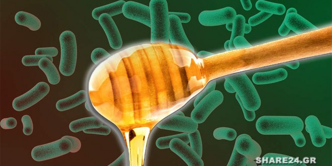 Αυτό το Μέλι είναι Πανίσχυρο Φυτικό Αντιβιοτικό! Σκοτώνει όλα τα Βακτήρια & τα Παράσιτα του Οργανισμού