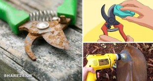 Πως θα Καθαρίσετε τα Σκουριασμένα Εργαλεία του Κήπου