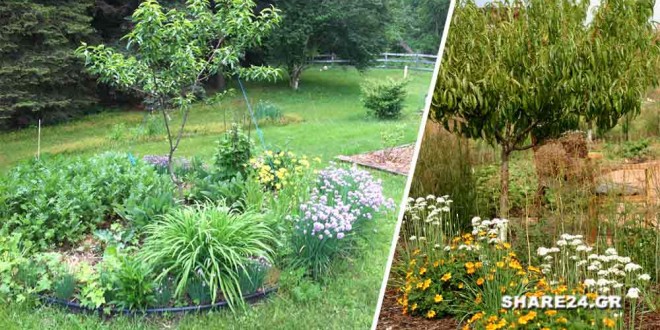 Φυτέψτε Αυτά τα Φυτά κοντά στα Καρποφόρα Δέντρα και Απωθείστε τα Παράσιτα και τα Επιβλαβή Έντομα