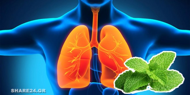 Καθαρίστε τους Πνεύμονές Σας με Λάδι Μέντας peppermint oil