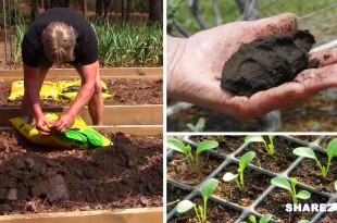 Προετοιμάστε τον Κήπο Σας Για τις Ανοιξιάτικες Εργασίες - Διαβάστε Όσα Πρέπει να Ξέρετε Πριν Φυτέψετε