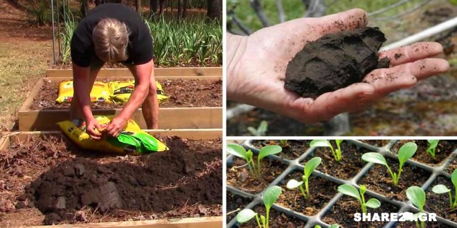 Προετοιμάστε τον Κήπο Σας Για τις Ανοιξιάτικες Εργασίες - Διαβάστε Όσα Πρέπει να Ξέρετε Πριν Φυτέψετε
