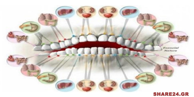Κάθε Δόντι είναι Συνδεδεμένο με Ένα Όργανο του Σώματος - Ο Πόνος στα Δόντια Μπορεί να είναι Ένδειξη Ασθένειας