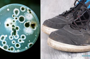 Όταν διαβάσετε Τι Επικίνδυνα Μικρόβια Μεταφέρουν τα Παπούτσια Σας, Θα τα Αφήνετε Έξω από την Πόρτα!