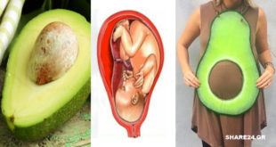 Γιατί το Αβοκάντο Μοιάζει με την Κοιλιά της Γυναίκας στην Εγκυμοσύνη; Οι Ιδιότητές του Υπερ της Γονιμότητας