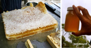 Πώς να μαζέψετε Μέλι από Φυσική Κηρήθρα