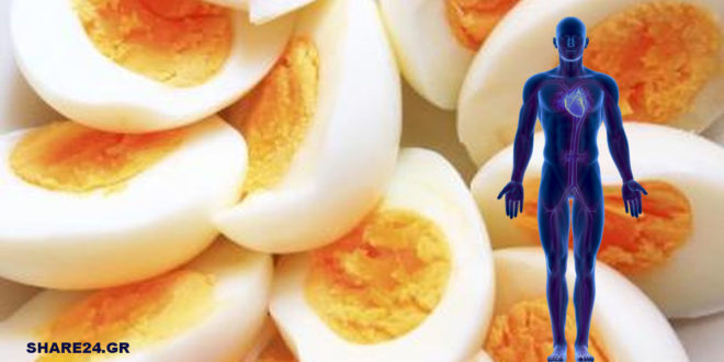 12 Πράγματα που Συμβαίνουν στον Οργανισμό Μας όταν Τρώμε Αυγά.