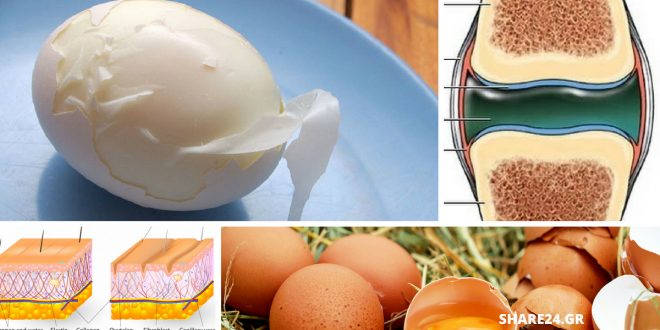 Τα Αυγά Αυξάνουν το Κολλαγόνο στον Οργανισμό χαρίζοντας Υγεία στο Δέρμα & τις Αρθρώσεις! Διαβάστε Πώς!